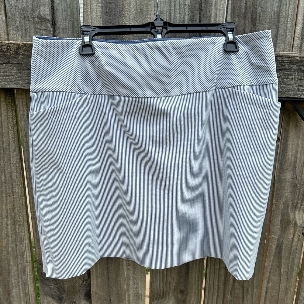 Blue/ White Striped  Athletic Skort by S.C. & Co. Large